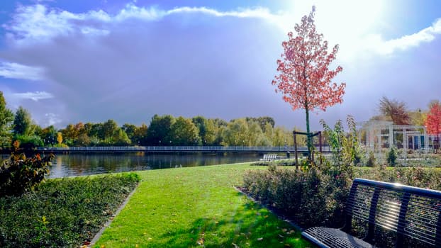 Park bench with view of gardens and lake