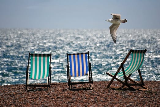 Deck-chairs by the sea